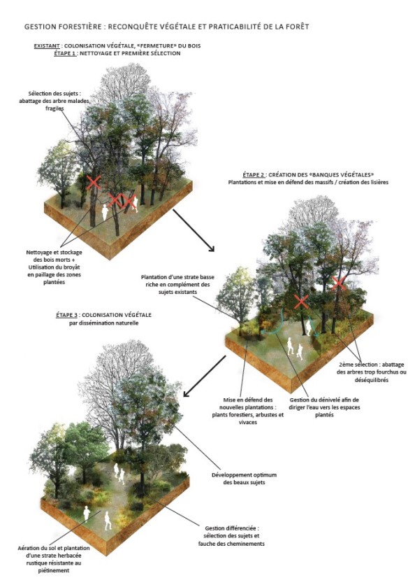 Management of wooded areas