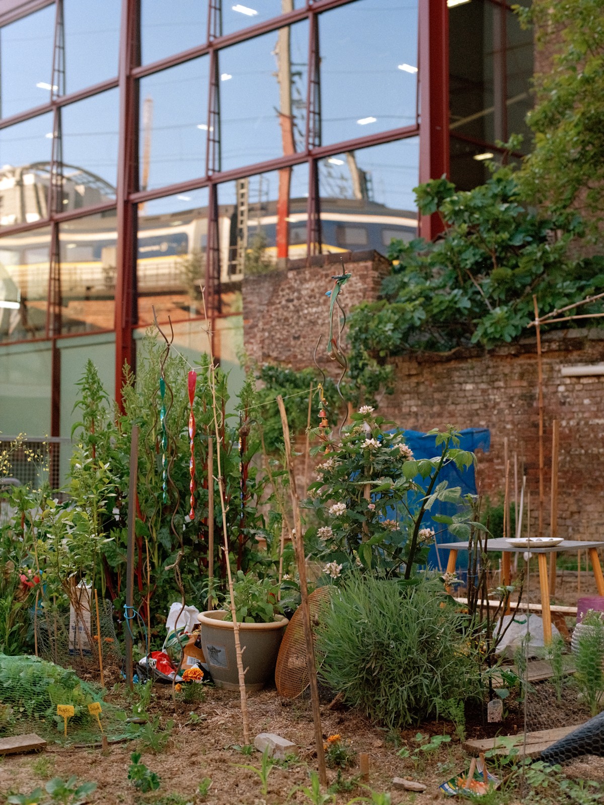 Maison MDW - Terre-Neuve