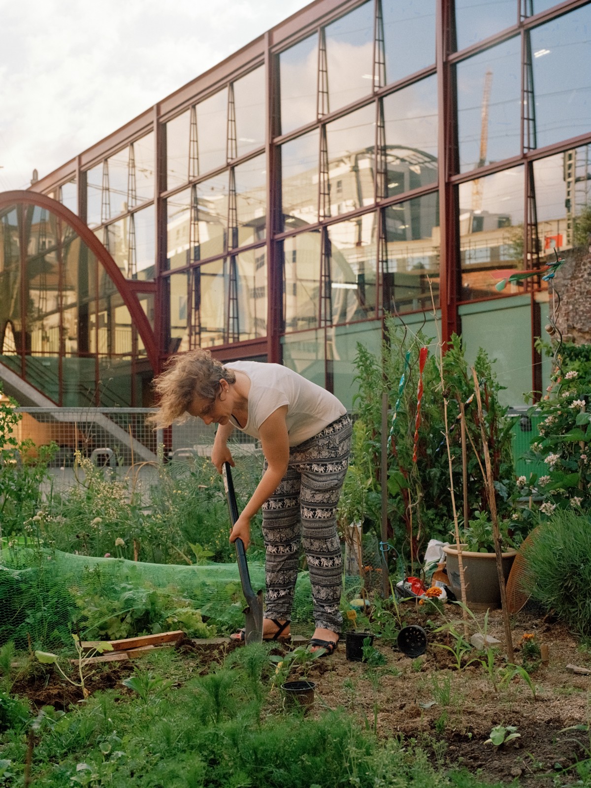 Maison MDW - Terre-Neuve