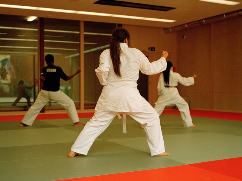 Karate, ABC Champions