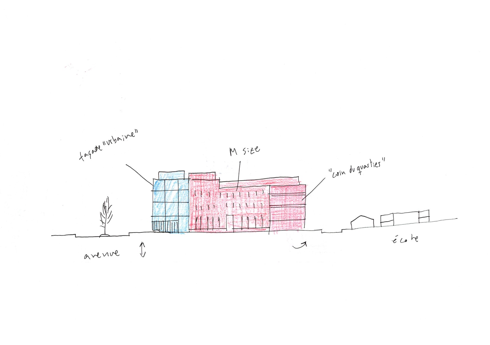 Maison MDW - Trèfles